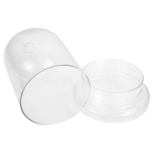 STOBAZA Transparentes U förmiges Glasdisplay für Ewige Blumen Dekorative Glasglocke mit Belüftungsloch Stilvoller Pflanzglaszylinder für Mikro landschaften und Blumendekoration STOBAZA Transparentes U förmiges Glasdisplay für Ewige Blumen Dekorative Glasglocke mit Belüftungsloch Stilvoller Pflanzglaszylinder für Mikro landschaften und Blumendekoration von STOBAZA