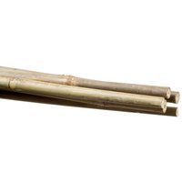 Bambus-Pflanzenhalter 6 8 mm 60 cm - Stocker von STOCKER