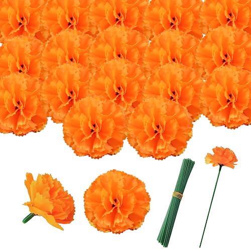 STOOKI 30 Trockenblumen-Kit 5 cm NelkenblüTenköPfe Mit Stielen Plastikblumen KöPfe Seidenblumenkopf-Dekoration Geeignet FüR Hausgarten, Hochzeitsfest, Heimwerkerhandwerk Usw (Orange) von STOOKI