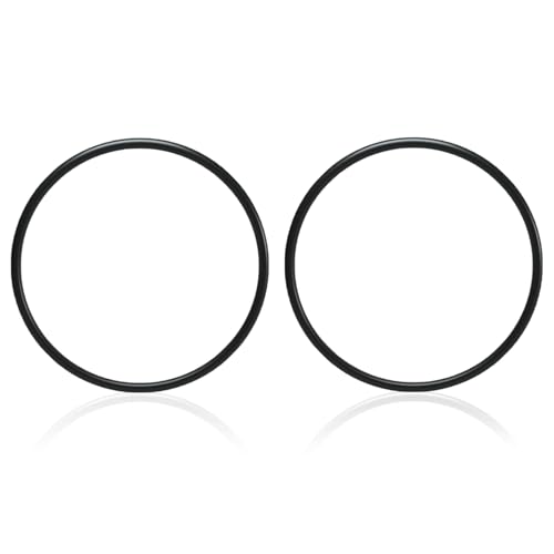 272541 O-Ring Ersatz für Pentair Pool Spa Filter und Ventile (2 Stück) von STPCTOU