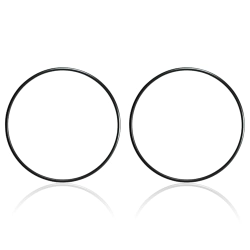 87300400 / 87300400Z O-Ring kompatibel mit Pentair Clean & Clear, Predator, EasyClean und Warrior Filtertankkörpern (2 Stück) von STPCTOU