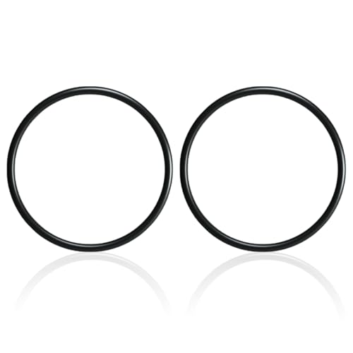 R0694100 Chlorgenerator O-Ring für Zodiac Jandy Pro Serie TruClear R0693900 (2 Stück) von STPCTOU
