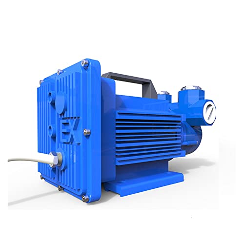 12V 24V Benzinpumpe mit explosionsgeschütztem System Elektrische Öl-Mikropumpe, Dieselpumpe 600 W 60l/min Pumpe Methanol Ethanol, Zuverlässig und langlebig(12V Blue) von STRAFBRG