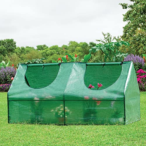 STREND PRO kleines Gewächshaus 180 x 90 x 90 cm für optimales Pflanzenwachstum, Mini-Gewächshaus, inklusive Gartengewächshausfolie, grüne Gewächshausfolie, winterfestes Tomatengewächshaus, Frühbeet von STREND PRO