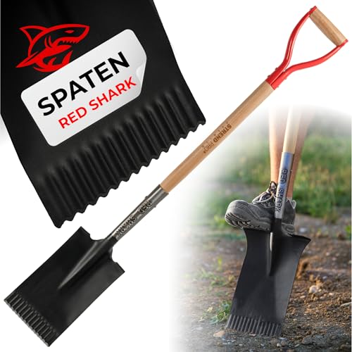 STREND PRO Spaten | Premium RedShark Gärtnerspaten | Eckige mit Holzstiel | D Spatenstiel | Geradespaten für Garten mit Stabiler Stahlkopf |für Harte, steinige Böden|Wurzelspaten Gartengeräte STREND PRO Spaten | Premium RedShark Gärtnerspaten | Eckige mit Holzstiel | D Spatenstiel | Geradespaten für Garten mit Stabiler Stahlkopf |für Harte, steinige Böden|Wurzelspaten Gartengeräte von STREND PRO