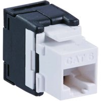 Striebel&John Buchse RJ 45 aus Kunststoff ZE311 von STRIEBEL & JOHN