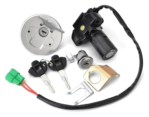 Zündschalter Für Suz&uki Für GIXXER155 L7 2017 Teile Ersatz Accessorries Key Lock Kit Motorrad Zündschloss Kraftstoff Gas Tank Cap von STRJUS