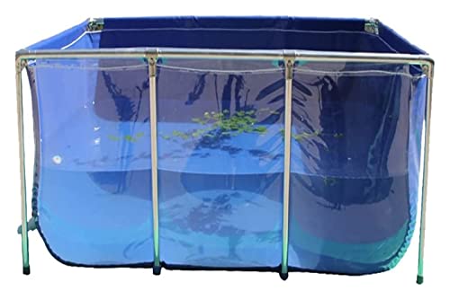 STRMAX Aquarium-Pool-Teich, Mit Klarer Sichtscheibe Und Ablassventil PVC-Plane Mit Stahlrahmen for Teiche |Aquarium |Kois |Goldfisch |Show Tank Anzeigen (Color : Blue, Size : 200x100x61cm) von STRMAX