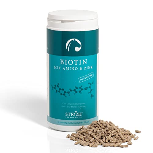STRÖH Biotin für Pferde + Amino & Zink (1kg) • Biotin-Pellets Pferd • Unterstützt Haut, Fell & Hufe • Fellpflege Pferde von STRÖH
