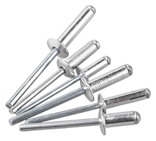 Flanschnieten, Edelstahlniete, Aluminium-Rundkopfniete, Zugniete M2 M2.4 M2.8 M3 M3.2 M3.6 M4 M5 M6 M6.4, Ankerkuppelkopf, blinder Stahlschaft, Dorn, Auspuffniete (6 mm, M6 (20 Stück))(4mm,M2 (20Pcs)) von STSTS