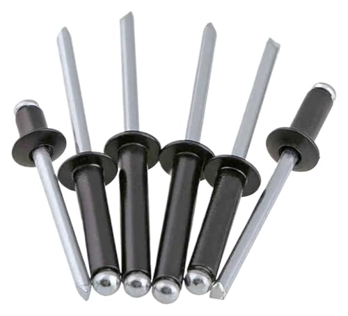 Flanschnieten, Edelstahlniete, M2,4 M2,8 M3 M3,2 M4 M5 M6 Galvanisierender schwarzer Aluminium-Rundkopfniet-Zuganker Blindstahlschaftdorn-Auspuffanker (8 mm, M2,4 (100 Stück))(10mm,M2.8 (100Pcs)) von STSTS
