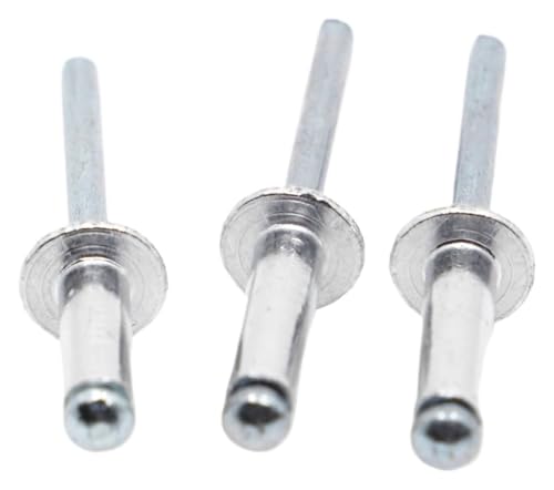 Flanschnieten, Edelstahlnieten, 10/20 Stück M2,4 M3,2 M4 M5 M6 GB12618 Aluminiumkopf-Brechdorn-Blindnieten Nagel-Popnieten (8 mm, M4 20 Stück)(10mm,M2.4 20pcs) von STSTS
