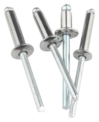 Flanschnieten, Edelstahlnieten, 30–50 Stück M2,4 M3,2 M4 M4,8 Nieten Aluminium-Kuppelkopf-Blindnieten Stahlschaftdorn-Auspuffnieten Zugnagel-Rebite(M4 (50 Stück), 8 mm)(M2.4 (50pcs),20mm) von STSTS