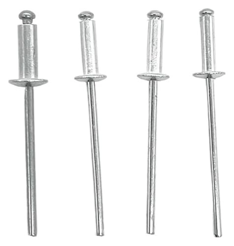 Flanschnieten, Edelstahlnieten, 50/20 Stück Nieten Aluminium M2.4 M2.8 M3.2 M3.6 Kopfblindstahlschaft Dornauspuff(8mm,M2.8(50pcs))(6.4mm,M3.2(20pcs)) von STSTS