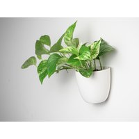 Design Wallplanter | Wand Blumentopf Pflanzentopf Wandhalterung Übertopf Design Wallplanter | Wand Blumentopf Pflanzentopf Wandhalterung Übertopf von STUDIO23de