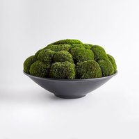 Mini Anthrazit Moos Schale von THEMOSBOWL