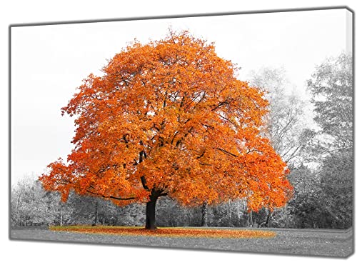 STUKE Wanddeko ​Schlafzimmer Großer Orangenbaum mit Blättern im Herbst Bilddruck auf Leinwand Wand Bilder Dekor 60x80cm Ohne Rahmen von STUKE