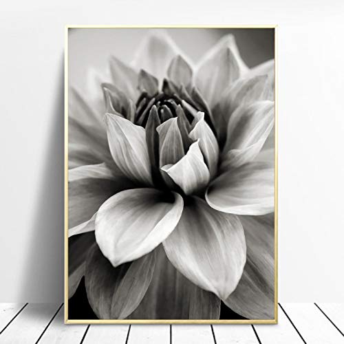 STUKE Wandposter Moderne Nordic Deko Schwarz Und Weiß Dahlie Blume poster & kunstdrucke Bild Gemälde Auf Leinwand Wand Bilder Für Wohnzimmer 30x40cm Ohne Rahmen von STUKE