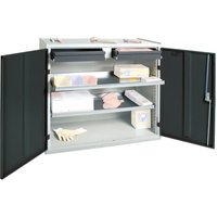 Werkzeug- und Materialschrank 3000, ral 7035/7016, 2 Schubladen, 2 Wannen - Stumpf Werkzeug- und Materialschrank 3000, ral 7035/7016, 2 Schubladen, 2 Wannen - Stumpf von STUMPF