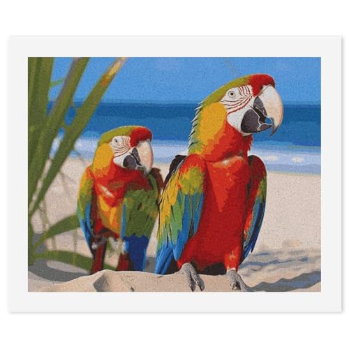 STVNKML Malen nach Zahlen-Set für Erwachsene und Anfänger, DIY Erwachsene Malen nach Zahlen Kits auf Leinwand, Strandpapageien, digitale Ölnummern-Malerei-Sets für Heimdekoration, Geschenk, 40 x 50 cm STVNKML Malen nach Zahlen-Set für Erwachsene und Anfänger, DIY Erwachsene Malen nach Zahlen Kits auf Leinwand, Strandpapageien, digitale Ölnummern-Malerei-Sets für Heimdekoration, Geschenk, 40 x 50 cm von STVNKML