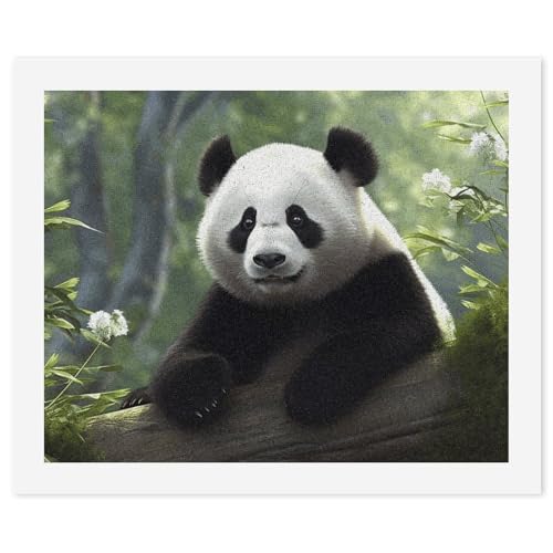 STVNKML Malen nach Zahlen-Set für Erwachsene und Anfänger, DIY Erwachsene Malen nach Zahlen Kits auf Leinwand, schöner Panda, digitale Ölnummern-Malerei-Kits für Heimdekoration, Geschenk, 40 x 50 cm von STVNKML