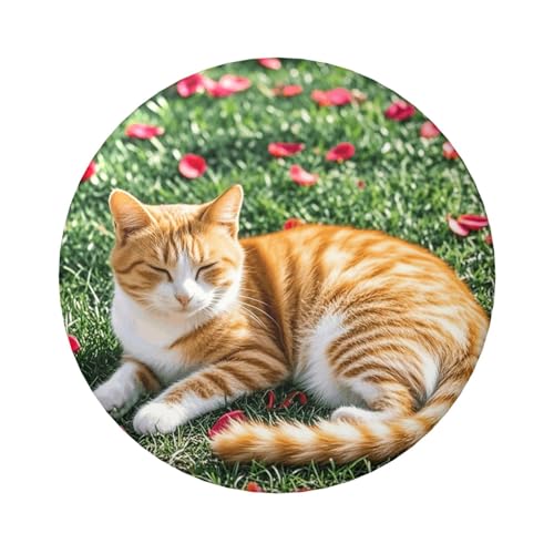 Katzen- und Blütenblatt-Knopfnadeln, 6,1 cm, rund, Metall, personalisierbar, Bild, Foto, Anstecknadel-Set für Bastelbedarf, Weihnachten, DIY-Projekte, 5 Stück Katzen- und Blütenblatt-Knopfnadeln, 6,1 cm, rund, Metall, personalisierbar, Bild, Foto, Anstecknadel-Set für Bastelbedarf, Weihnachten, DIY-Projekte, 5 Stück von STVYUKL