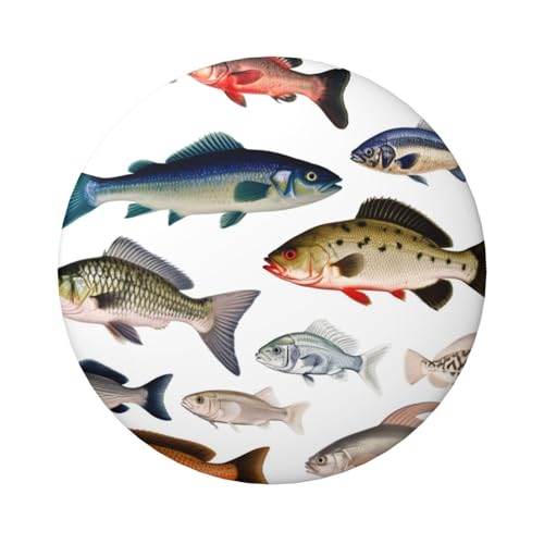 Verschiedene Fischknopfnadeln, 6,1 cm, rund, Metall, personalisierte Bild-, Foto-Anstecknadeln, Set für Bastelbedarf, Weihnachten, DIY-Projekte, 5 Stück, Einheitsgröße Verschiedene Fischknopfnadeln, 6,1 cm, rund, Metall, personalisierte Bild-, Foto-Anstecknadeln, Set für Bastelbedarf, Weihnachten, DIY-Projekte, 5 Stück, Einheitsgröße von STVYUKL