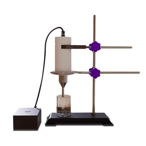 Kleiner Ultraschall-Homogenisator fürs Labor, 250 ml Ultraschall-Zelldisruptor, Arbeitsfrequenz 40 kHz, 80 W Handhomogenisator-Emulgator, mit Halterung, Sondendurchmesser 8 mm von STWBHW