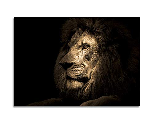STYLER Glasbild Lion 70 x 100 cm I Wandbild aus Glas modern für Küche Wohnzimmer Badezimmer Schlafzimmer I schwarz groß XXL Hingucker groß Löwe bunt Löwenkopf von STYLER