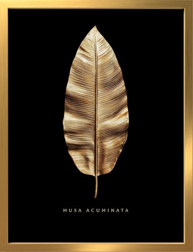 STYLER Bild Gold Banana 30x40 cm (AUFHÄNGFERTIG) mit hochwertigem Rahmen – Luxuriöse Banana-Blatt-Ästhetik in Gold auf Schwarz – Modernes mattes Finish von STYLER