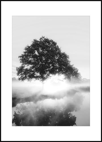 STYLER Gerahmtes Bild Foggy Tree 50 x 70 cm I Schwarz-Weiß Fotografie Baum im Nebel minimalistisch modern I Wandbild Wohnzimmer Schlafzimmer Büro I Wanddeko Naturstil Bild mit schwarzem Rahmen von STYLER