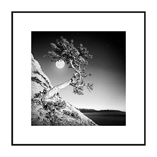 STYLER Gerahmtes Bild Moon Tree 50 x 50 cm | Artbox | Wandbild mit schwarzem Rahmen | See Fels Meer Mond Baum Natur Berge Landschaft | Schwarzweiß Schwarz Weiß | Wohnzimmer Schlafzimmer Küche von STYLER
