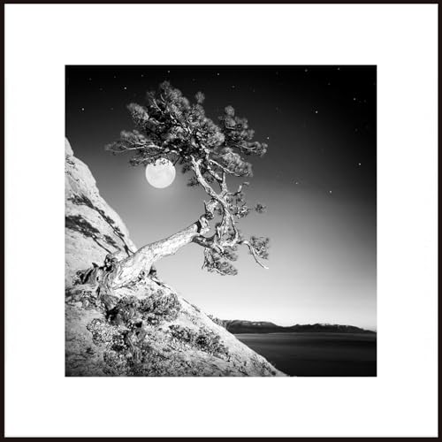 STYLER Gerahmtes Bild Moon Tree 50 x 50 cm | Artbox | Wandbild mit schwarzem Rahmen | See Fels Meer Mond Baum Natur Berge Landschaft | Schwarzweiß Schwarz Weiß | Wohnzimmer Schlafzimmer Küche von STYLER