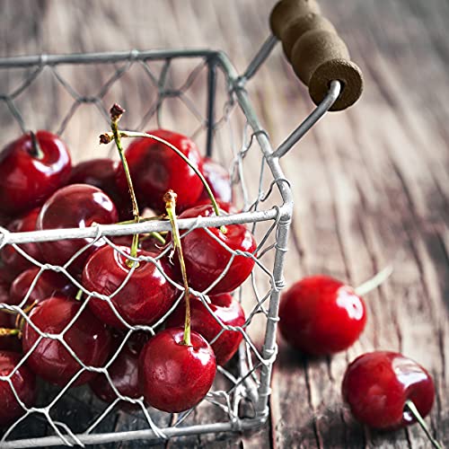 STYLER Glasbild Cherry | Küche Wandbild Glas Bild | einteilig 30x30 cm Quadratisch | Kräuter Gewürze Früchte Obst Korb Rot | Küchenbild Dekoration modern vintage von STYLER