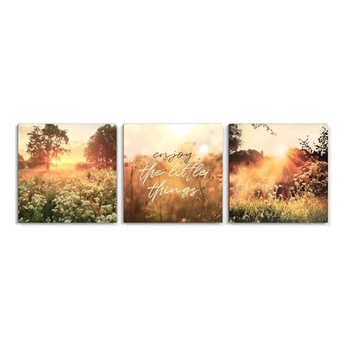 STYLER Leinwandbilder Set Summery 3X 32x32 cm (AUFHÄNGFERTIG) - Sonnenaufgang über blühender Wiese - Sommerliche Natur für Wohnzimmer und Schlafzimmer von STYLER