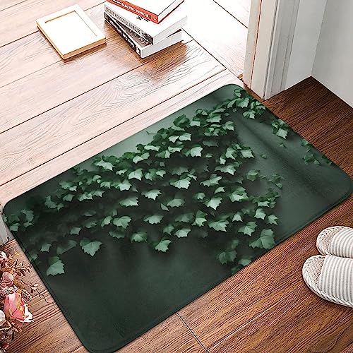 STejar Green Creeper Fußmatte mit rutschfester Gummi-Rückseite, saugfähig und schmutzabweisend, Fußmatte, Eingangstür, Innenfußmatte, 40 x 60 cm von STejar