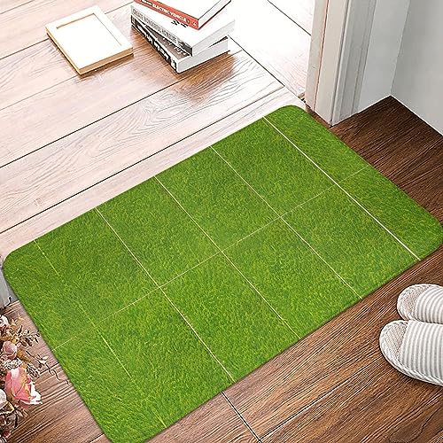STejar Green Grassland Fußmatte mit rutschfester Gummi-Rückseite, saugfähig und schmutzabweisend, Fußmatte, Eingangstür, Innenfußmatte, 40 x 60 cm von STejar