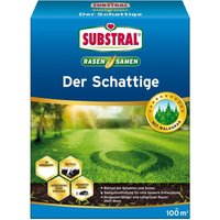 Substral - Rasensamen Der Schattige 2 kg für 100 m² von Substral