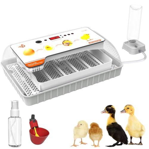 SUBTLETY Inkubatoren für Geflügeleier Brutautomat Vollautomatisch mit LED Ei Schierlampe & Display Automatischem Wenden & Befeuchtung Brutkasten Eierinkubator für Hühner Enten Gänse (Weiß, 20 Eier) SUBTLETY Inkubatoren für Geflügeleier Brutautomat Vollautomatisch mit LED Ei Schierlampe & Display Automatischem Wenden & Befeuchtung Brutkasten Eierinkubator für Hühner Enten Gänse (Weiß, 20 Eier) von SUBTLETY