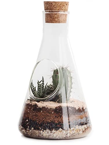 SUCK UK Chemistry Glasterrarium Kit für Pflanzen & Kakteen | Sukkulenten Vase | Flashengarten mit Erde, Sand, Aktivkohle und Kieselsteinen für Pflanzen | Biosphere | DIY Indoor-Garden | Kaktustopf von SUCK UK