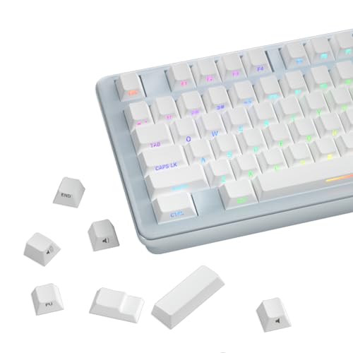 SUEHIODHY PBT Shine Through Keycaps Cherry Profile Backlit White Keycaps Side Print Custom Dye Sublimation Keycaps Set for Cherry Gateron MX Switches Mechanical Keyboard von SUEHIODHY