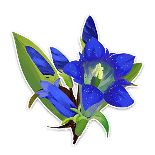 SUIFENG Aufkleber 13 X 12.9Cm Schöne Blaue Enzian Blumen Aufkleber Auto Aufkleber Zubehör Stoßstange SUIFENG Aufkleber 13 X 12.9Cm Schöne Blaue Enzian Blumen Aufkleber Auto Aufkleber Zubehör Stoßstange von SUIFENG