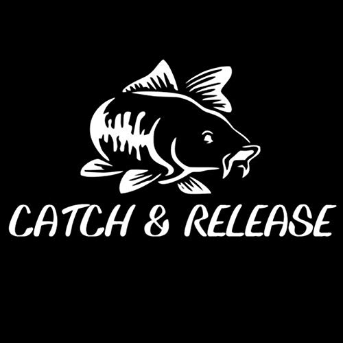 SUIFENG Autoaufkleber 13.8 cm X 7.5 cm Catch Release Fish Fashion Dekor Aufkleber Aufkleber Car-Styling SUIFENG Autoaufkleber 13.8 cm X 7.5 cm Catch Release Fish Fashion Dekor Aufkleber Aufkleber Car-Styling von SUIFENG