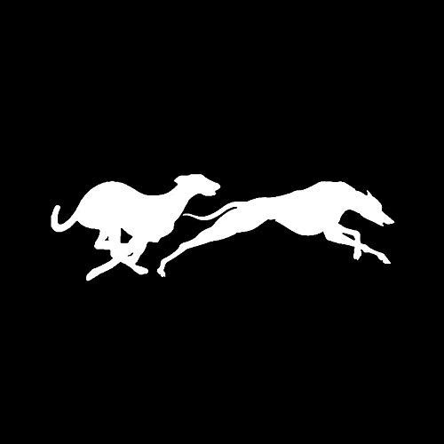 SUIFENG Autoaufkleber 16.5Cmx5Cm Fashion Racing Windhunde Vinyl Auto Fenster Aufkleber Aufkleber Tier Motorrad SUIFENG Autoaufkleber 16.5Cmx5Cm Fashion Racing Windhunde Vinyl Auto Fenster Aufkleber Aufkleber Tier Motorrad von SUIFENG
