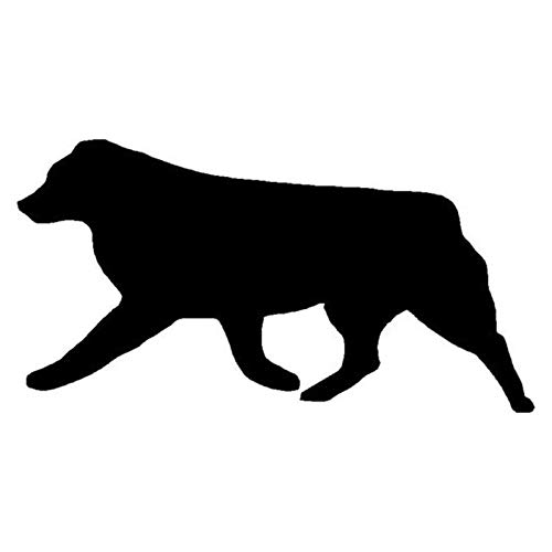 SUIFENG Autoaufkleber 16.5X8.8Cm Australian Shepherd Dog Auto Aufkleber Silhouette Vinyl Aufkleber Auto Styling Truck Dekoration Schwarz/Silber SUIFENG Autoaufkleber 16.5X8.8Cm Australian Shepherd Dog Auto Aufkleber Silhouette Vinyl Aufkleber Auto Styling Truck Dekoration Schwarz/Silber von SUIFENG