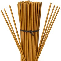 Suinga - 500 Stück Bambusstützen für Pflanzen 60 cm (5-8 mm) – Bambusstäbe, Stützen für Pflanzen, Gemüse, Tomaten, Bambusstäbe von SUINGA