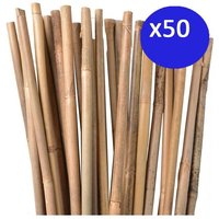50 x Natürlicher Bambusstab 100 cm, 8-10 mm Durchmesser. Tutoren für Pflanzen, Natürliche ökologische Bambusstäbe, Bambusrohr von SUINGA
