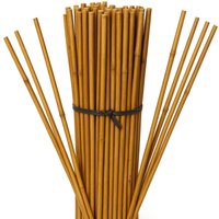Suinga - 25 Stück Bambusstützen für Pflanzen 100 cm (8-10 mm) – Bambusstäbe, Stützen für Pflanzen, Gemüse, Tomaten, Bambusstäbe von SUINGA