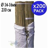 Suinga - Pack 200 x Bambusstäbe 210 cm, 14-16 mm. Bambusstangen, ökologische Bambusrohre zur Befestigung von Bäumen, Pflanzen und Gemüse. von SUINGA