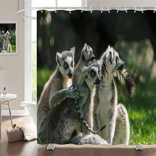 Duschvorhang 180x180 WeißEr Lemur Shower Curtain aus Polyester mit 12 Duschvorhangringe, Wasserabweisend und Anti-Schimmel Waschbare Badvorhang für Badezimmer Gardinen von SULATE